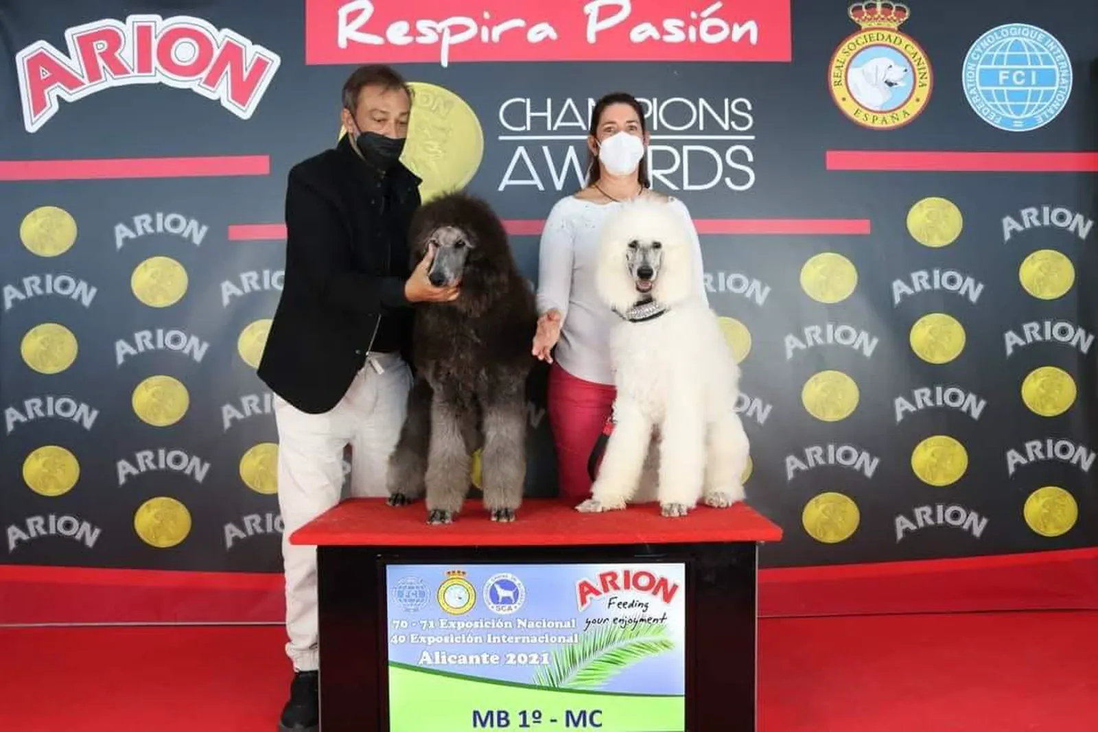Exposición Nacional Canina de Alicante 2021